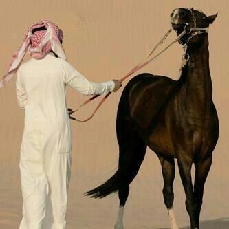 2012abdullah88 tweet picture