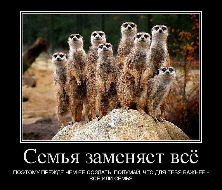 Семья смешные картинки с надписями, открытка пасхе класс