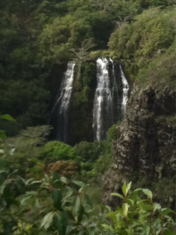 Dan1767's tweet photo. Enjoying the falls in Kauai http://t.co/fGKyxxKl