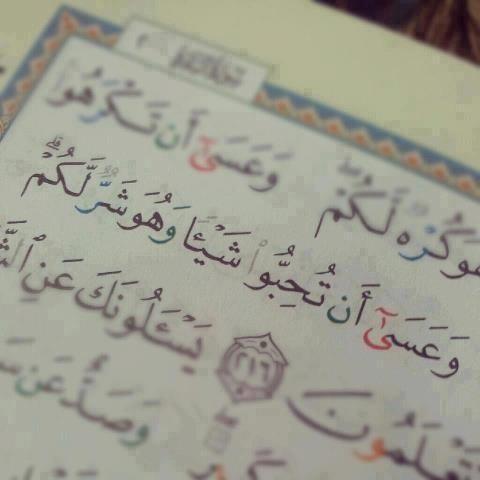 MyWayToParadise's tweet photo. ٓ

يا ربّ
فرّج عن كل ذي همٍ همه
اشرح صدره
أزل كربه وغمه
املأ بالرضا قلبه
حقّق مراده ونفّس آلامه..~

#آمين http://t.co/J1eK0NVc