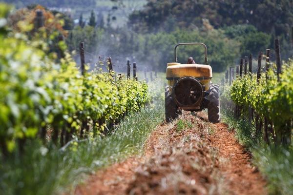 WineAromas's tweet photo. Approximetly 50% of all wines produced in France have the "Vin de Table" distinction. http://t.co/453DkmQn