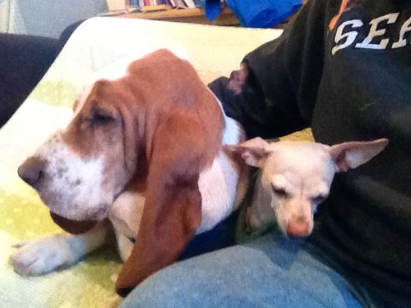 Shima_jin's tweet photo. Wassssup, peeps!!!! Just kicking it. http://t.co/xKLiIVLg