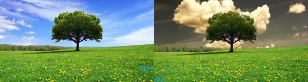 layerpros's tweet image. Check out our background replacements
a photographers Must have tool