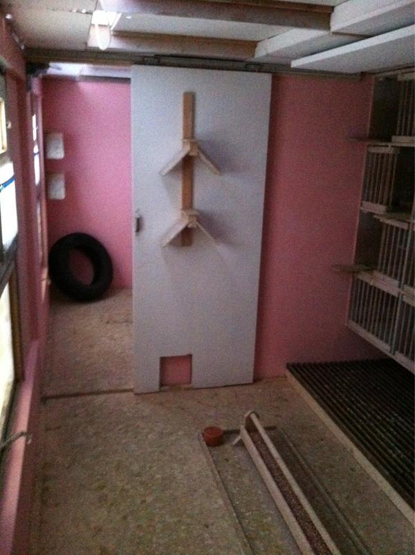 DeGebr's tweet image. Het hok klaar gemaakt voor seizoen 2013!