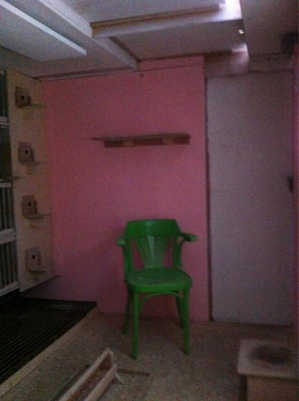 DeGebr's tweet image. 