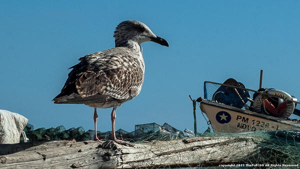 360inFocus tweet picture