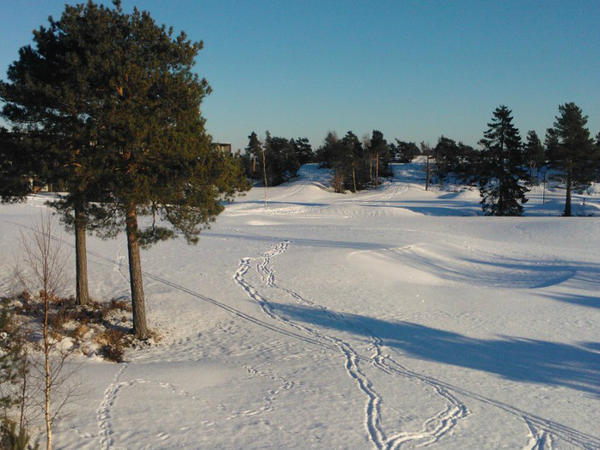 Kragerø Golfklubb tweet media