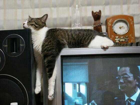Alberto91251's tweet photo. Alberto91251 http://t.co/RnMJZNAp