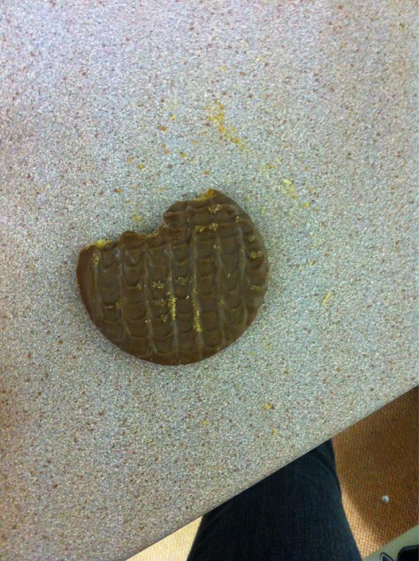 fenelw's tweet image. @hollyvcb hahahhahahah #justateanotherbiscuit #slothantics