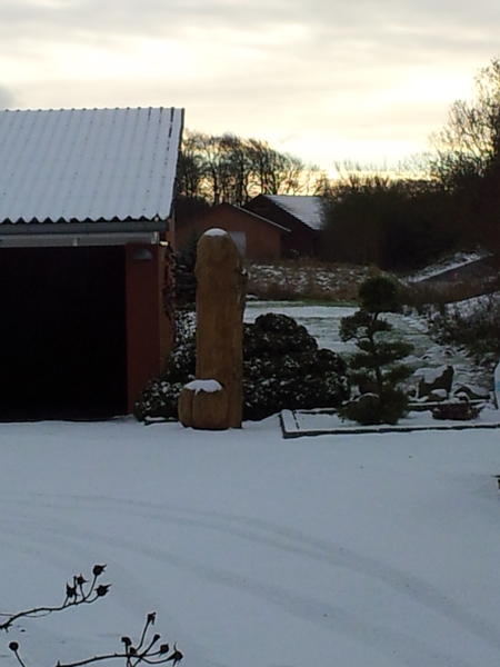 LOTEkits's tweet photo. @storpony #ManErVelIkkeLavetAfTræ #StorPenis http://t.co/dyMj7uRX