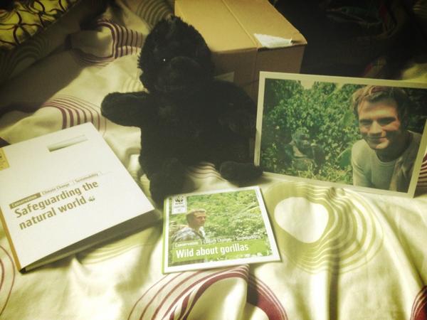 wwf_uk's tweet photo. Thanks for sharing, Charlie! RT @mccharlie91: Just got my Mountain Gorilla adoption pack @wwf_uk @dougiemcfly :) #ihoho http://t.co/WUWunPD6