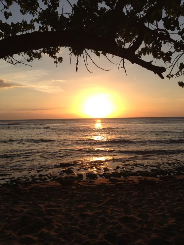 CSulfaro27's tweet image. #surfordie