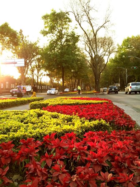 ricdasek's tweet photo. les comparto una foto de ayer mientras grabamos el video "algo de luz" excelente sabado @Kihmx @jonnydelapena @BartSONO http://t.co/Xwx3uwGA
