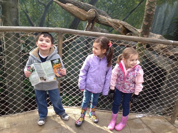 Kids at the zoo