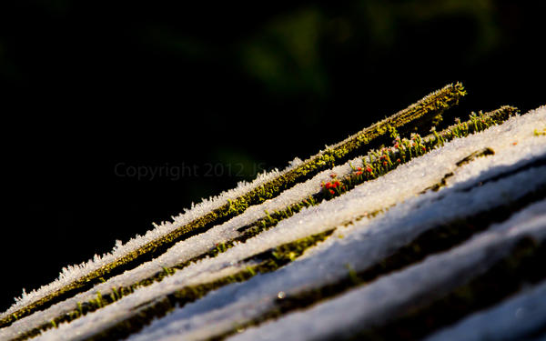 JSowderPhoto's tweet image. Just uploaded 1 new photo to my PicasaWeb "Countryside" album: picasaweb.google.com/10860564437045… GO CHECK THEM OUT :-)