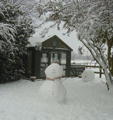 Garden Rooms tweet media
