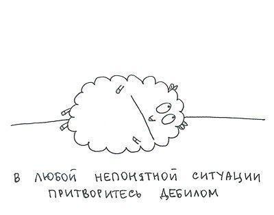 SpitGrave's tweet photo. Или овечкой... http://t.co/j6SM19OY