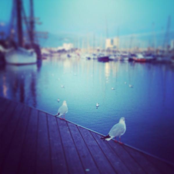 andrearotella1's tweet photo. Barcellona http://t.co/OqHClejg
