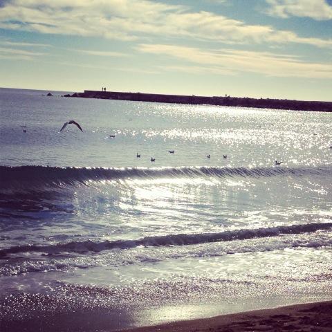 andrearotella1's tweet photo. I love Barcellona http://t.co/IZHNy00o