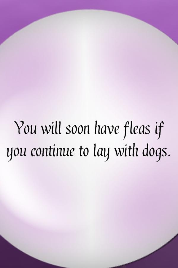 Defence_Boss's tweet photo. Check out my fortune from #iPredict #omg LOL In et mhyy friend house and she got 2 dogs lol http://t.co/PqYTjJKE