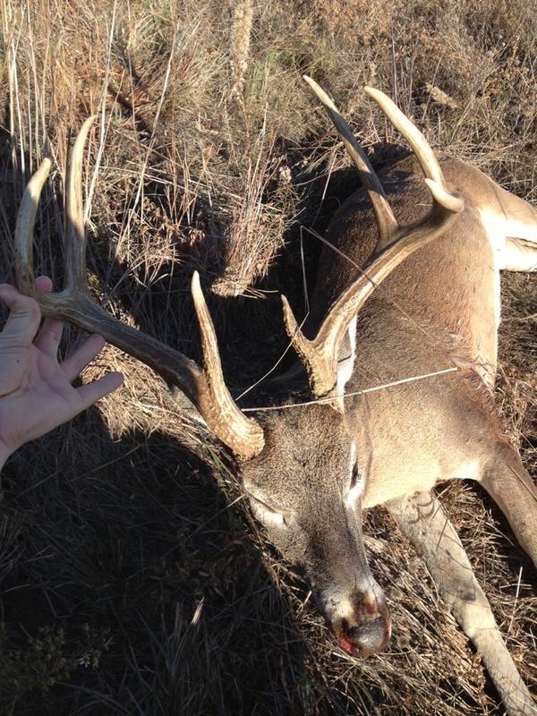 DeerViewWindows's tweet photo. @Farmer_Guy Taken by Pro Staff member http://t.co/e1WimdFU