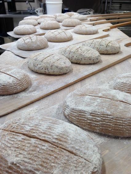jancluxton's tweet photo. I love this moment. Ready for the oven.  The glory of sourdough. #flourtothepeople http://t.co/nTRb2skI