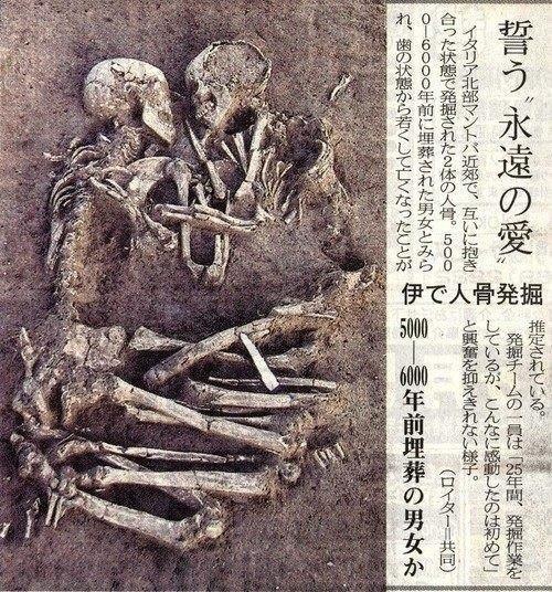 BotKiiikun's tweet photo. ここまで愛したら本物の夫婦ってもんだろ！ http://t.co/XVrCZrI0