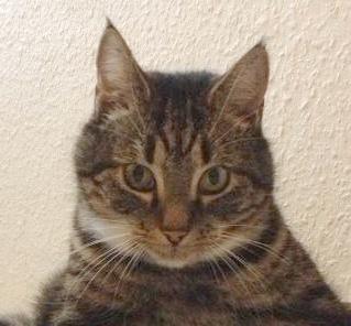 OlsenHalkier's tweet photo. Tak for all the follows and for making my time on Twitter so much fun.

Farvel! http://t.co/3KFcdOd7