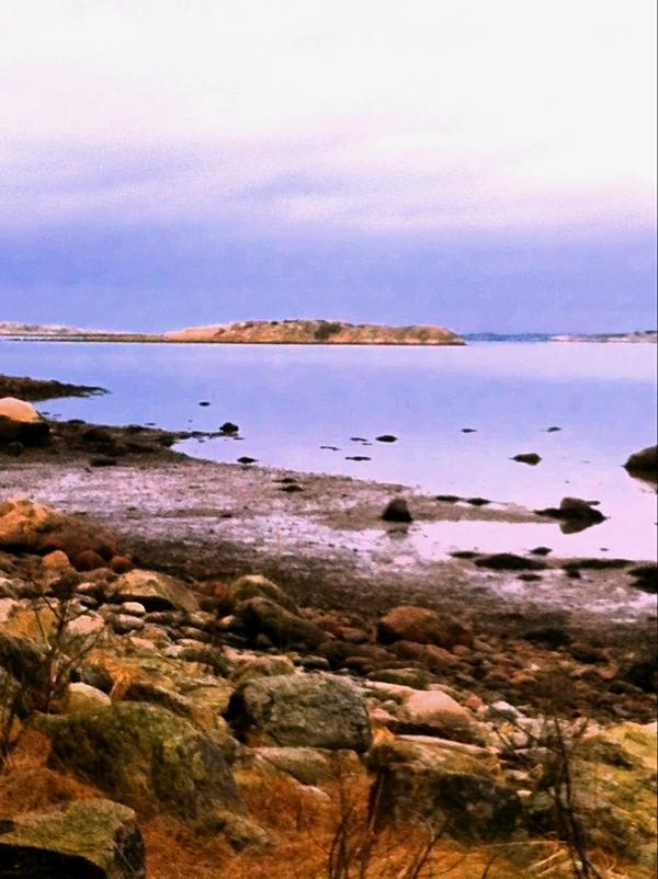 Spetz73's tweet image. Härlig promenad i Januari👍