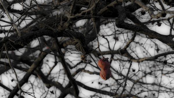 吉田 美奈 Mina Twitter