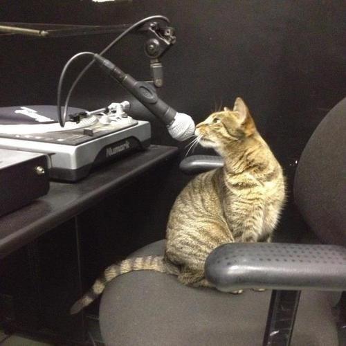 jvdgeld's tweet image. Uw DJ van vanavond #AlmereFm