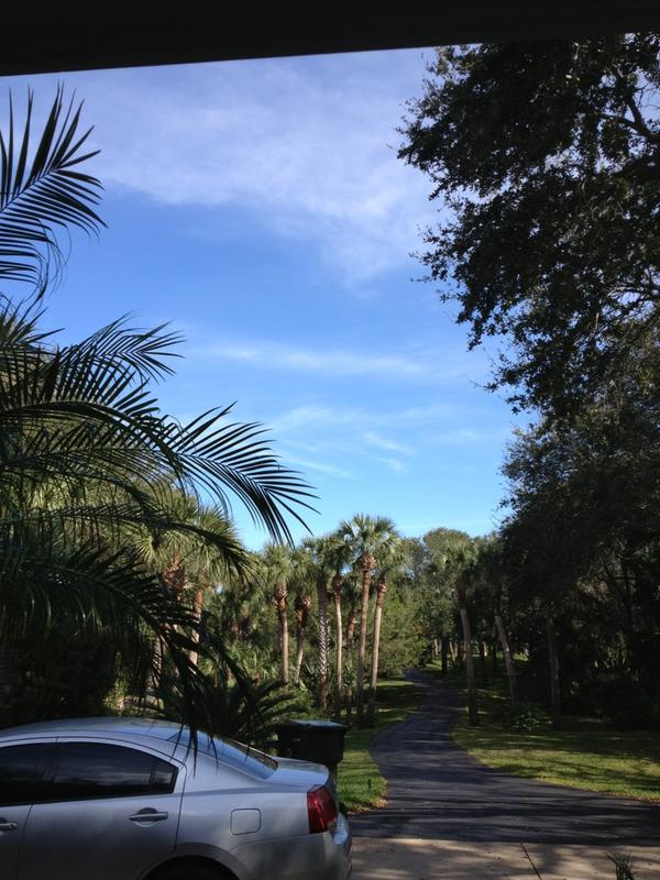 J_nSw_n's tweet image. Looks like a lovely day to....

Do homework😐📕✏📝 #IBproblemz