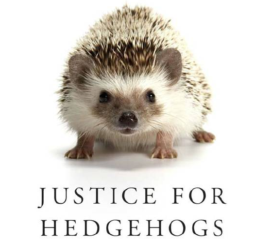 This makes me happy #lawbooks #latenightlibrarysession #justiceforhedgehogs #jurisprudence