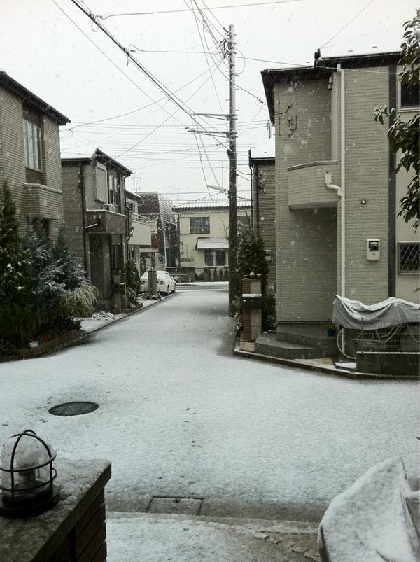 うらねろ tweet media