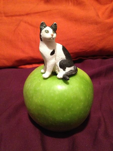RealBusCat's tweet photo. I am the CEO of this apple http://t.co/1F9J1lFM