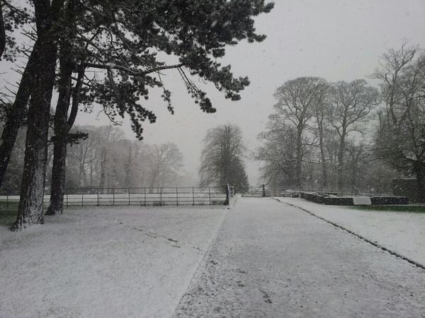 bacon0_0's tweet image. Not graftin in this! #SnowedOff