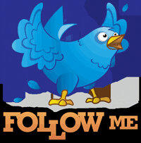 FollowbackBACKS tweet picture