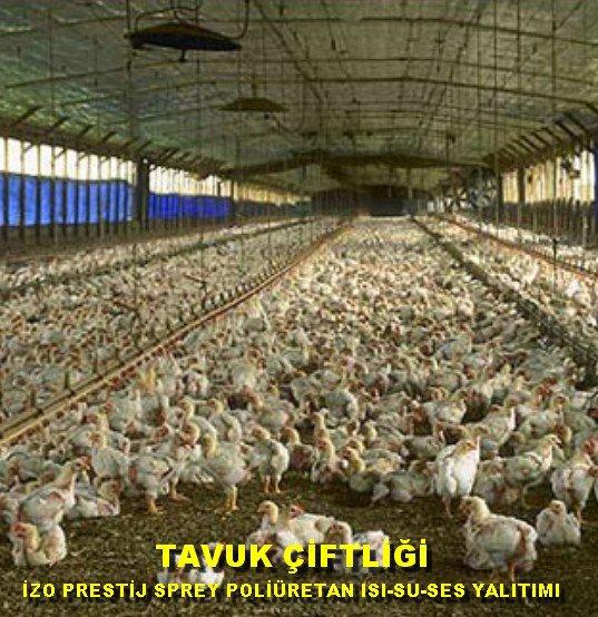 Tavuk ve Mantar Çiftliği Sprey Poliüretan Uygulaması..