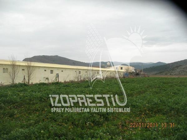 Tavuk ve Mantar Çiftliği Sprey Poliüretan Uygulaması..