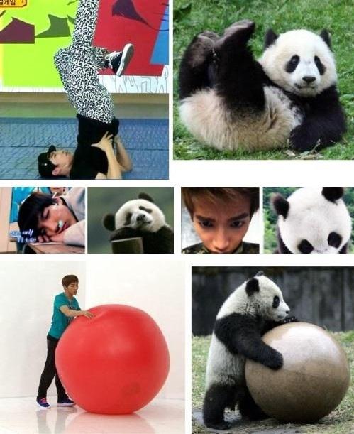 ipedd_'s tweet photo. ขอให้หลวงปู่จุนเค อายุมั่นขวัญยืน เข่าที่ชอบปวดก็ขอให้หาย อยู่เป็นร่มโพธิ์ร่มไทร2PMกับฮอตเทสไปนานนานนะปู่♥ #jun2dabday http://t.co/E39EjbIm