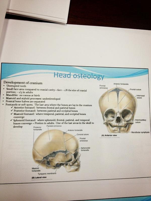 buy overview of the new c c 0x