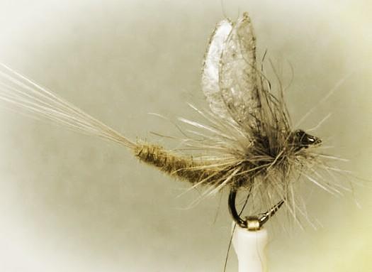 LethFlyShop tweet picture