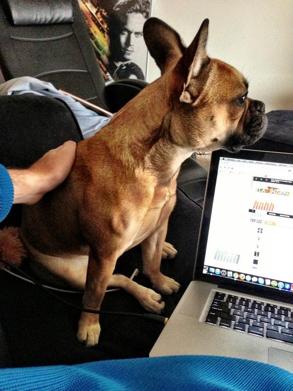 DolceBabes's tweet photo. I like stayin close to my dad. I like him better than mommy! 😜😉🌞🐶 http://t.co/Bh3P9rZh