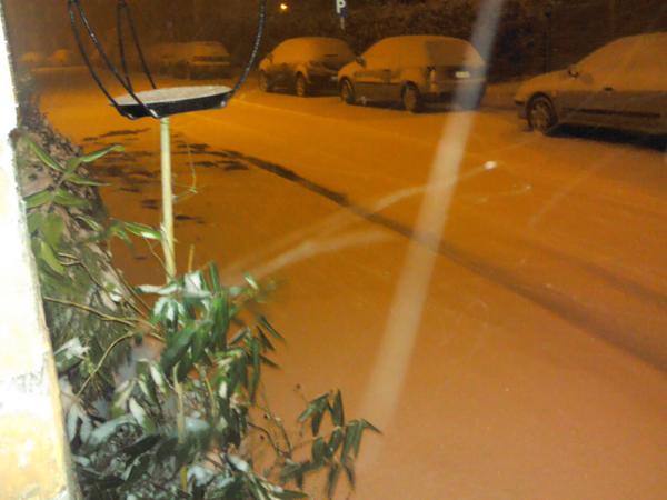 FalzoneA tweet picture