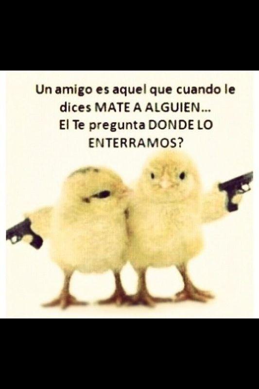 kate del castillo tweet media