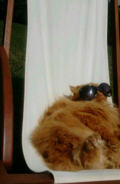 Eleena_92's tweet photo. Es pedir tanto vivir asi? http://t.co/d7lcSG48