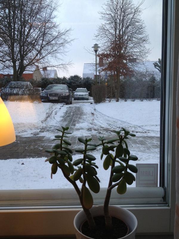 Fint!