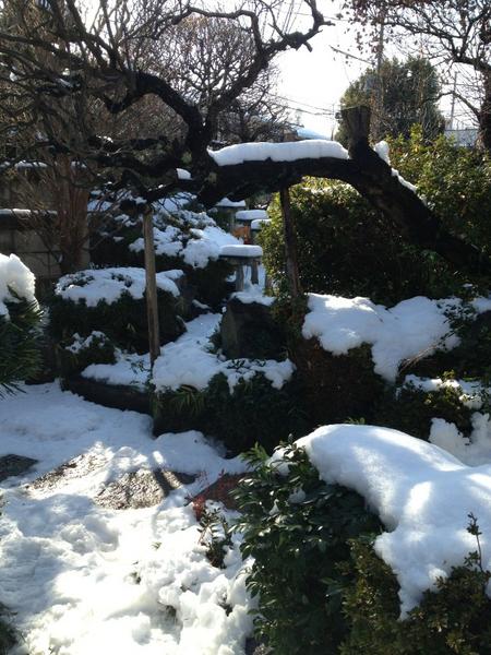 83728's tweet photo. 庭も雪景色
いつもと違う世界 http://t.co/l3qlRmGk