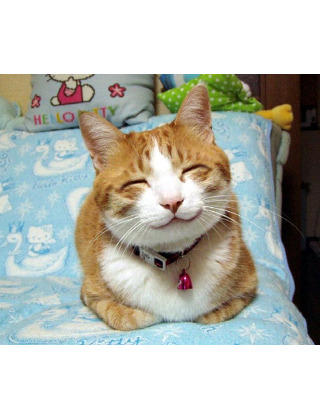 all__for__one's tweet photo. 人からされたいと思うことをまずは自分が先にすること。自分のまわりが笑顔になったらそれで自分も笑顔になれる。 http://t.co/BaIb2fAC