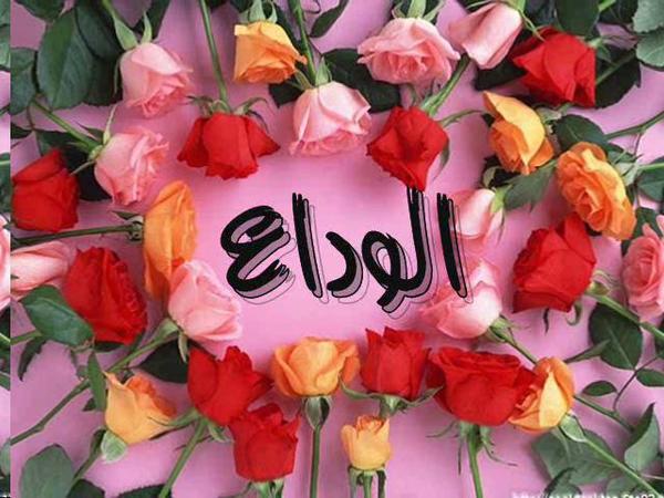 devpoint11's tweet image. الوداع